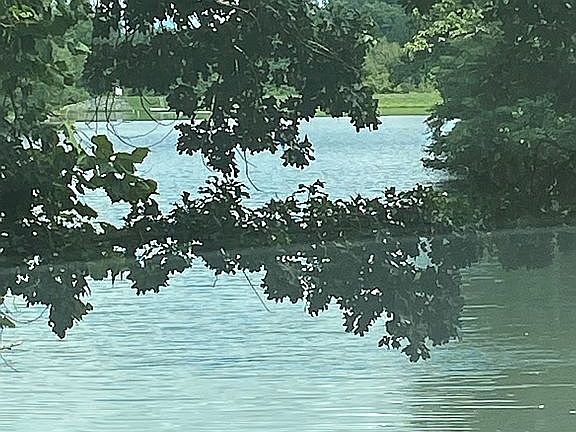 Windsor Lake