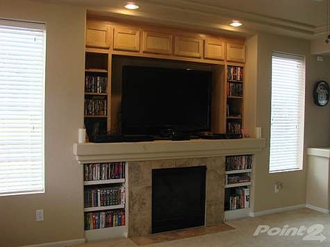 Fireplace and cutom shelving