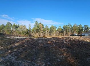 SW 135 Avenue Rd LOT 19, Ocala, FL 34473