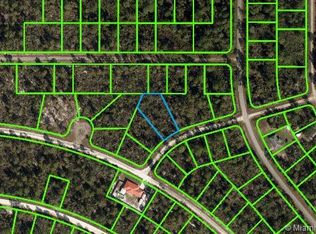 3207 N School Dr, Lake Placid, FL 33852