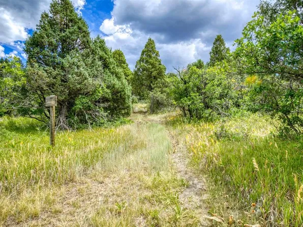 1742 Roush Drive, Pagosa Springs, CO 81147
