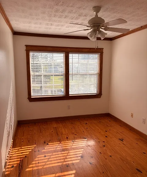 517 Palomar Dr #4 — Photo 6