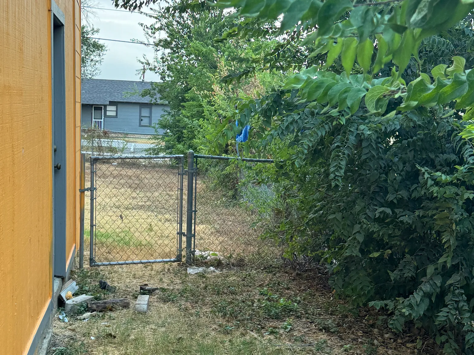 2 bed, 800 sqft, $1,100 — Photo 4