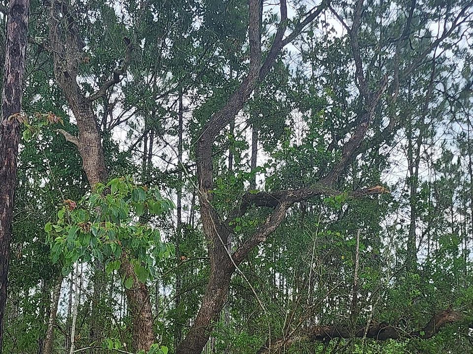 2nd image of PARCEL 7 Long Rd