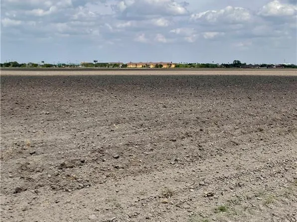 N Mile 16 Rd E, Elsa, TX 78543