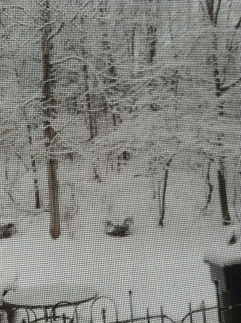 View from living room