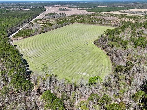 4th image of 6 Ingram Rd