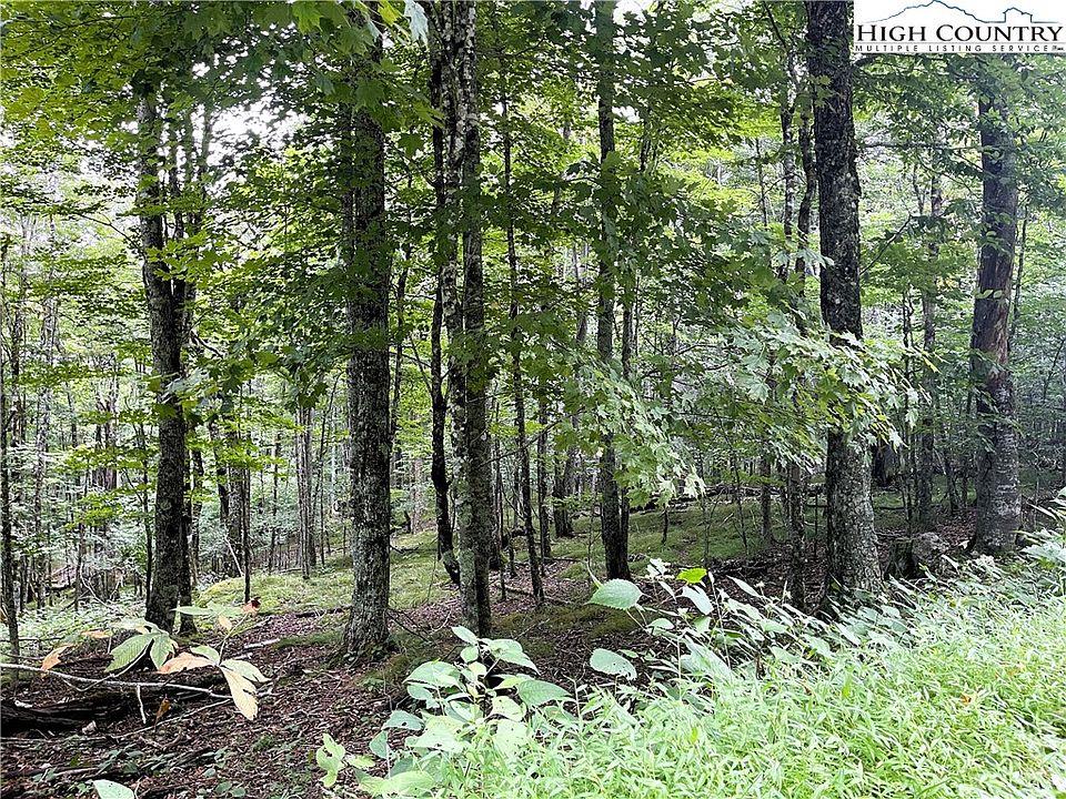 2nd image of 211 Sawmill Branch Road