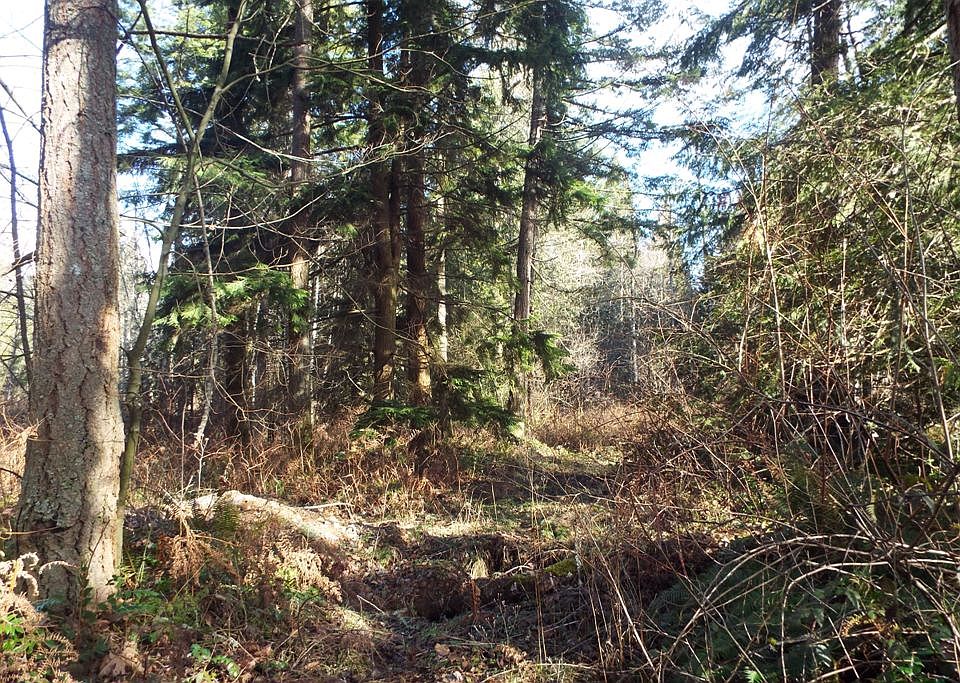 1st image of 27620 127th Ave E