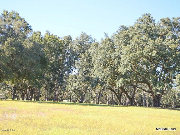 5th image of 10AC NE 47th Ave