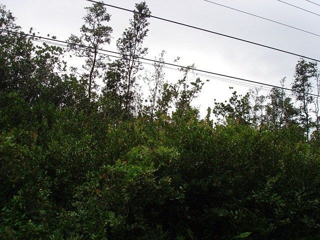 1st image of 40th St Lot 71
