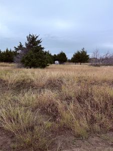 157 W Wood, Red Oak, TX, 75154