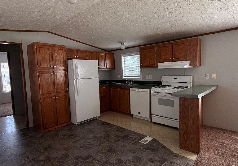 4310 Meadow Lane Dr #1180 — Photo 7