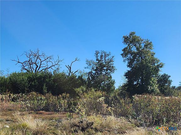 5th image of 73 Shin Oak Dr