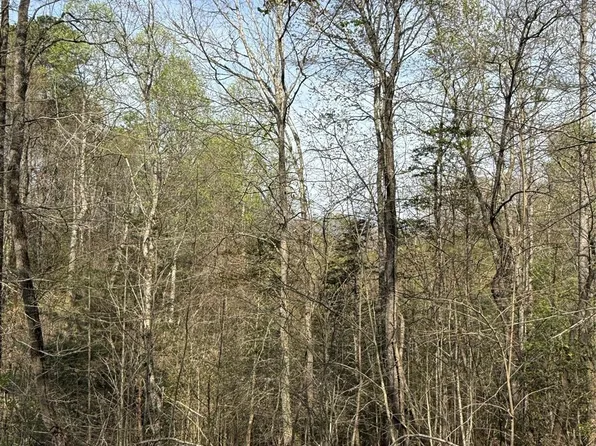 6 W Legacy Dr, Hendersonville, NC 28739