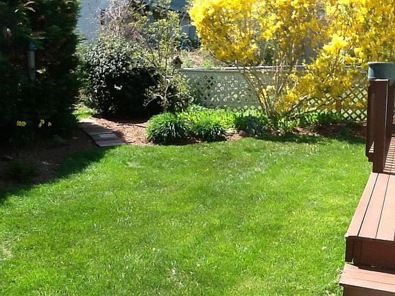 Part of back yard