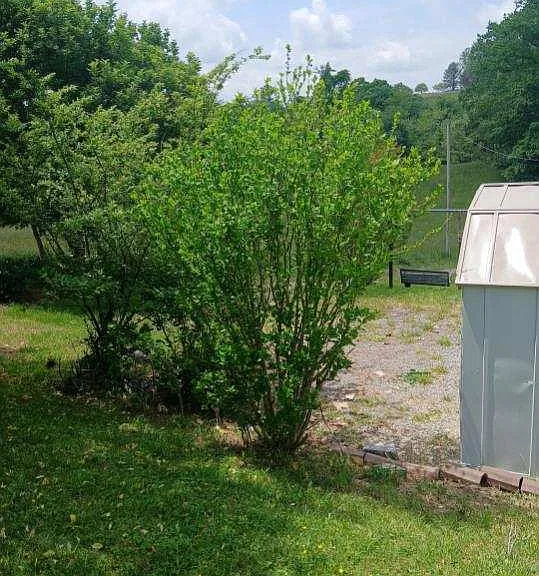 256 Barretts Dr — Photo 25