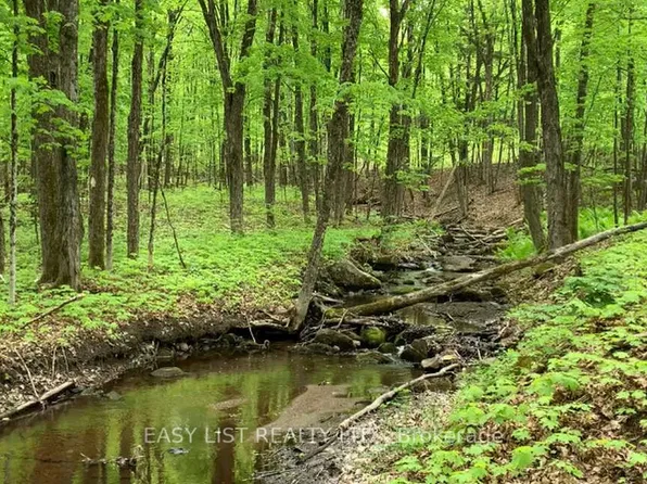 LOT 1 Colonial Dr, Minden Hills, ON K0M 2K0