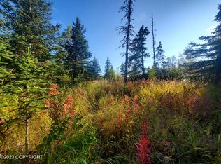 64195 Bolotna Rd, Anchor Point, AK 99556