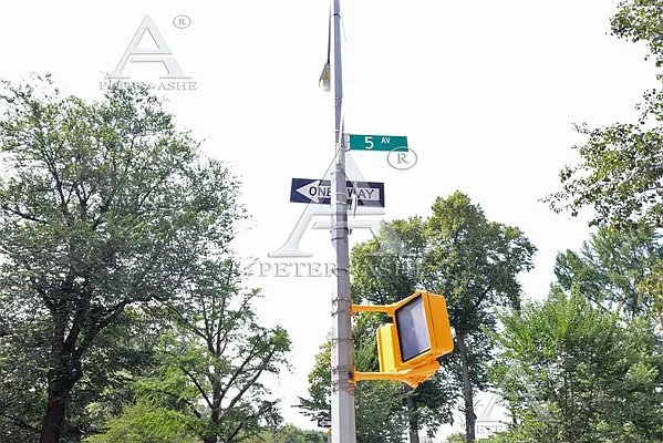 Rented by Peter Ashe | media 17