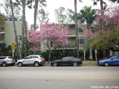 330 S Barrington Ave, Los Angeles, CA, 90049