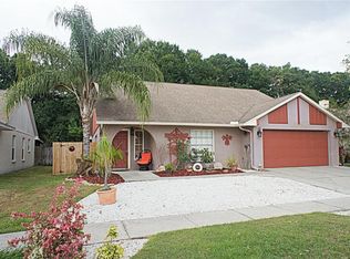 7237 Hollowell Dr, Tampa, FL 33634