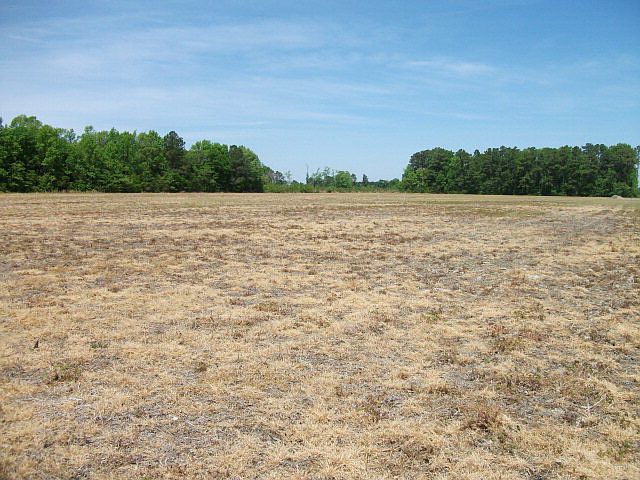 2nd image of 8a Foy Lane