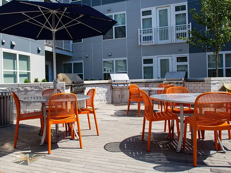BBQ Grill and Picnic Area
