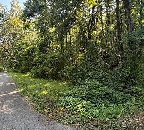 5th image of Graham Rd