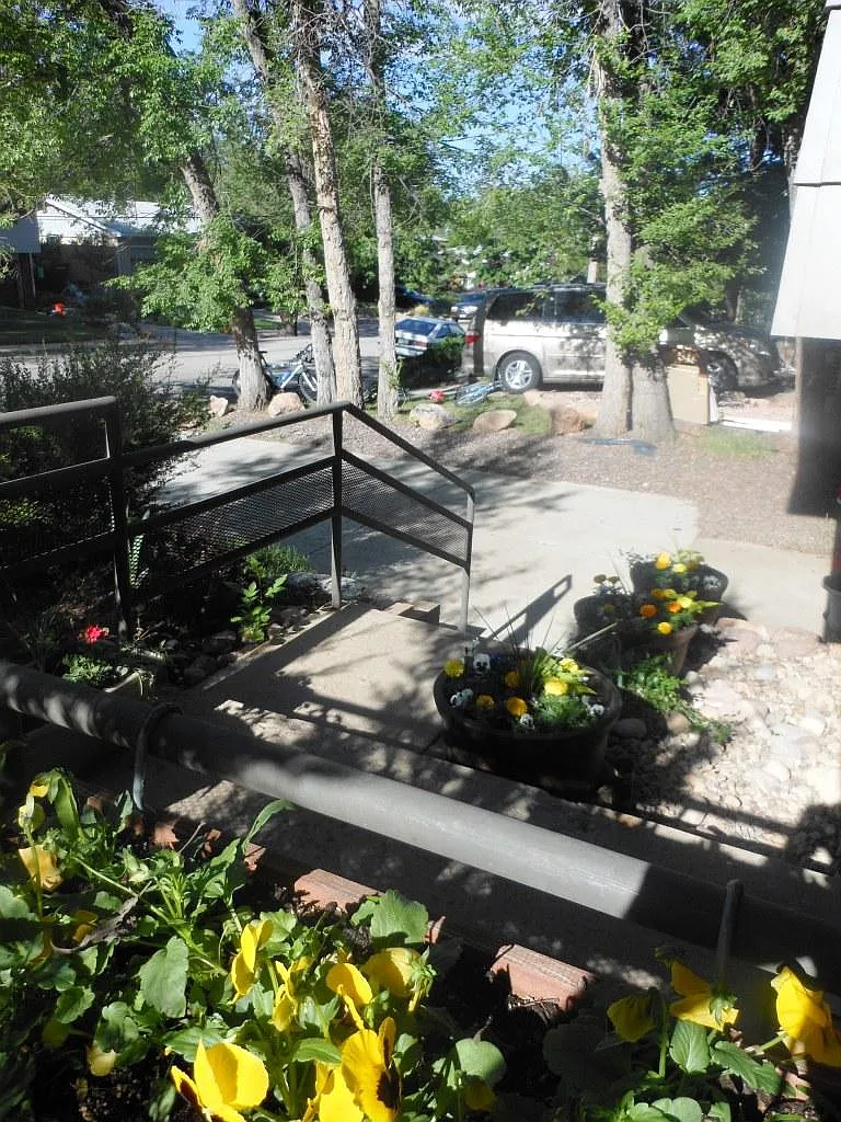 2990 Baylor Dr — Photo 4
