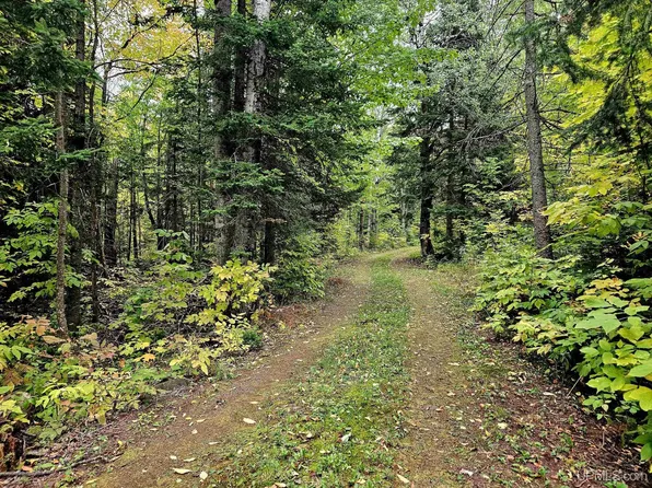 N12756 Vanderhagen Rd, Ironwood, MI 49938