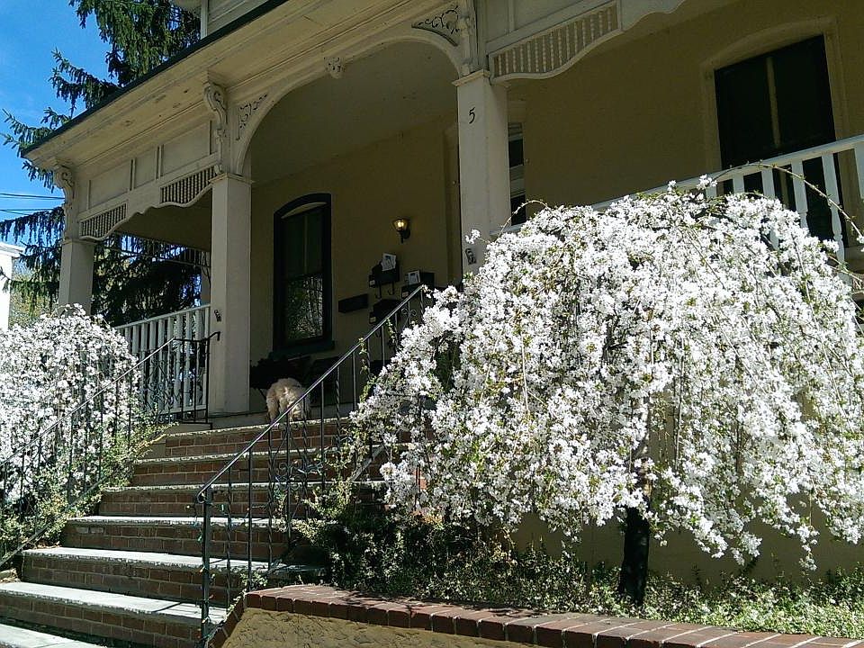 Building front