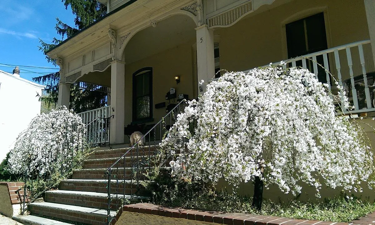 Building front - 5 Jefferson St #B