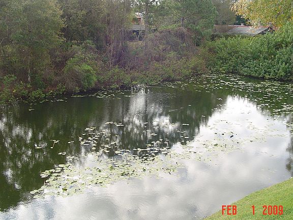 View from Patio