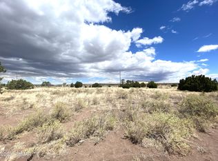9 County Road 4070 LOT 18, Springerville, AZ 85938