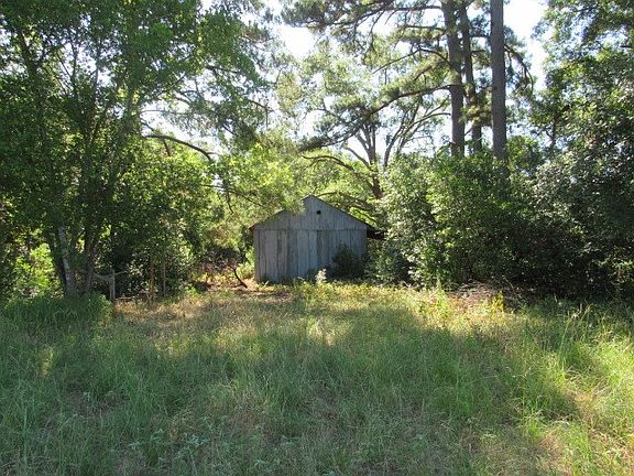 5th image of 11386 County Road 1316