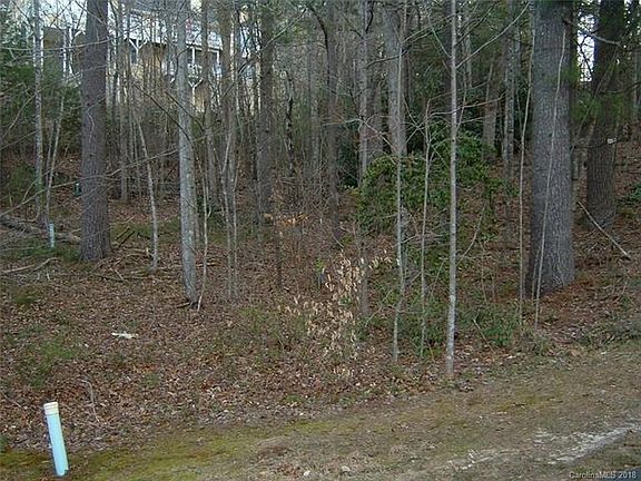 4th image of 1631 High Meadow Ln