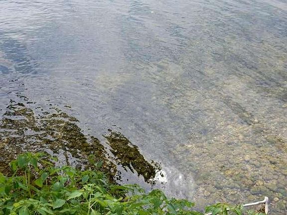 4th image of 3502 Lake Dr