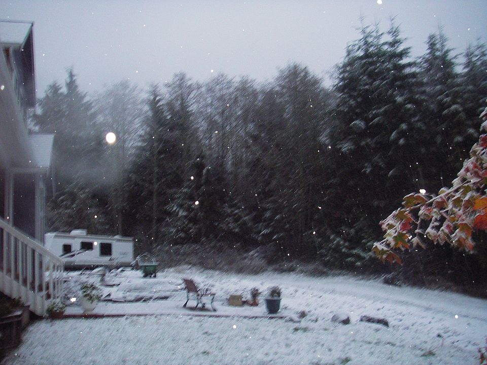 2nd image of 4830 Crane Dr