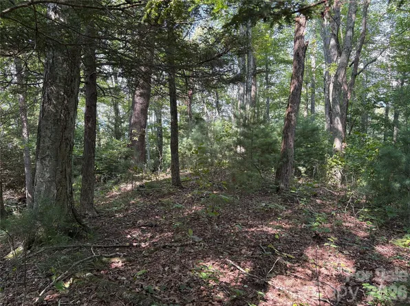0 Early Frost Pl #98, Waynesville, NC 28785