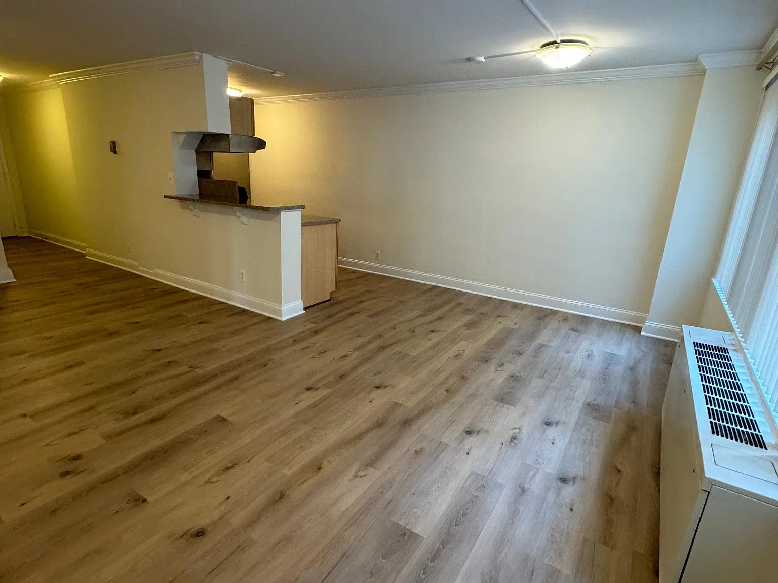 Living + Dining Room