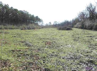 Moore Ln, Ethel, LA 70730