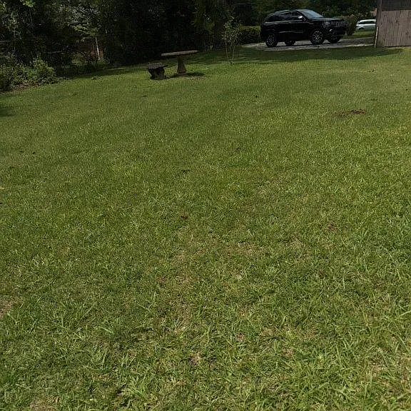 1113 Sumter St — Photo 3