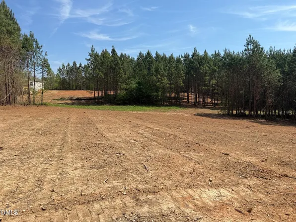 2379 Peachtree Hills Rd Lot 10, Spring Hope, NC 27882