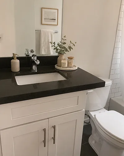 Floor plan 1 Bed 1 Bath