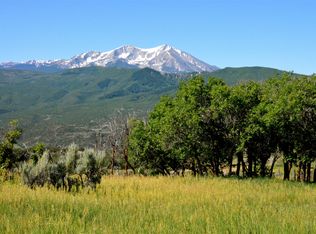 560 Fox Run Dr, El Jebel, CO 81623