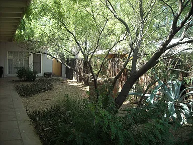 2606 E Linden St — Photo 3