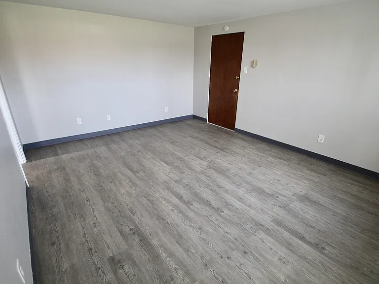 234 Roth St — Photo 4
