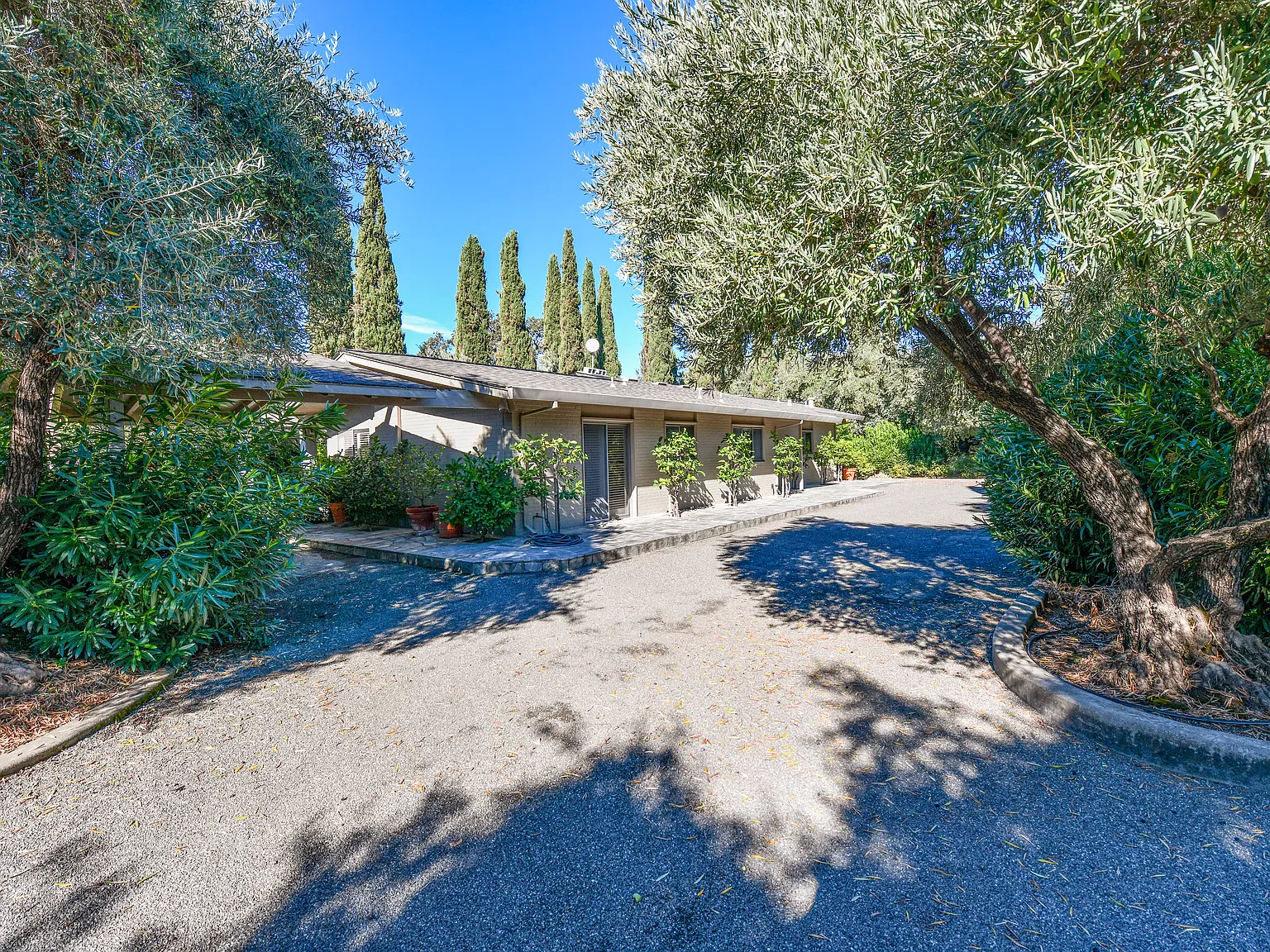 2 bed, $4,500 — Photo 2