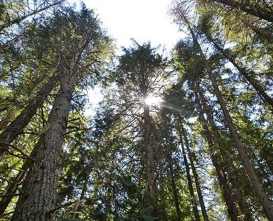 4th image of 465 Arthurs Blvd